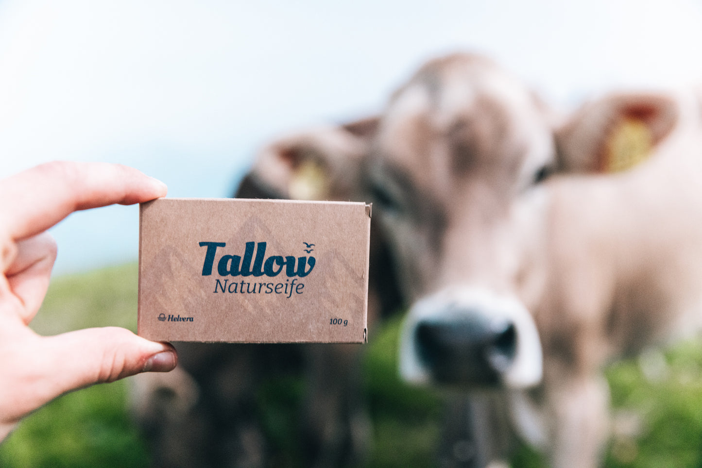 Verpackung der Helvera Tallow-Naturseife vor einer neugierigen Kuh – Symbol für Natürlichkeit, Herkunft und regionale Wertschöpfung in der Schweiz