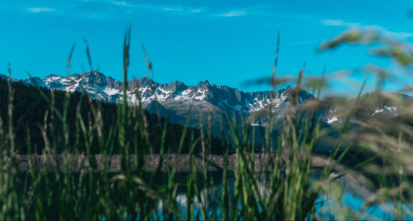 Natürliche Alpenlandschaft in der Schweiz – Sinnbild für die Herkunft und Reinheit der Helvera Tallow-Seife aus Rindertalg
